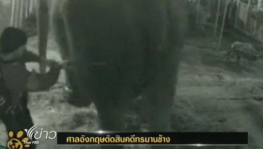 ศาลอังกฤษตัดสิน "เจ้าของละครสัตว์" ผิดข้อหาทรมานช้าง