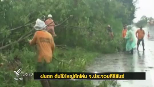 ต้นไม้ริมถนนเพชรเกษม จ. ประจวบคีรีขันธุ์หักโค่นขวางการจราจร หลังฝนตกหนัก 