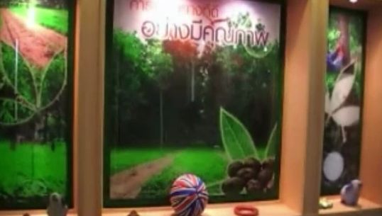 สถาบันวิจัยยาง เล็งพัฒนาตลาดกลางยางพารานครศรีธรรมราช สู่สากล