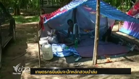 กลุ่มเกษตรกรฯยึดสวนปาล์ม จ.กระบี่ ยืนยันปักหลักต่อไป แม้ถูกขับไล่ออกจากพื้นที่
