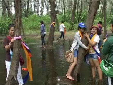 เครือข่ายพลเมืองสงขลาฯ จัดกิจกรรมกอดต้นสน รับขวัญวันปีใหม่