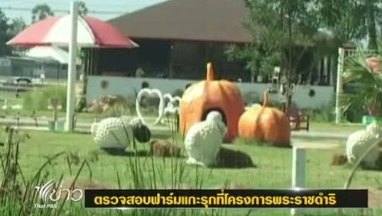 หน่วยป้องกันรักษาป่าฯ ตรวจสอบฟาร์มแกะรุกที่โครงการพระราชดำริ จ.เพชรบุรี