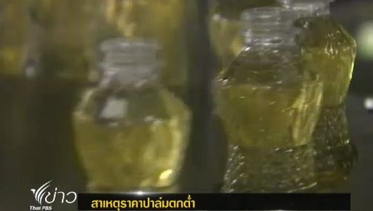 เปิดสาเหตุน้ำมันปาล์มราคาตก 
