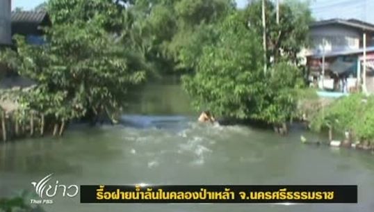 เทศบาลนครศรีฯ รื้อฝายน้ำล้นในคลองป่าเหล้า หลังชาวบ้านร้องเรียนว่ากระแสน้ำกัดเซาะดินเสียหาย