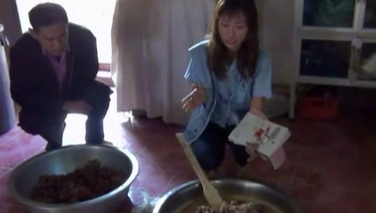 ปศุสัตว์น่านสอบสาเหตุชาวเขา "เผ่าม้ง" กินหมูดิบท้องเสียจำนวนมาก 