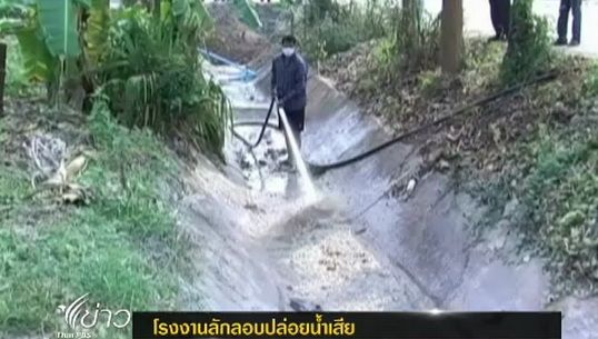 ลานมันสำปะหลังใน จ.กำแพงเพชร ลักลอบปล่อยน้ำเสีย
