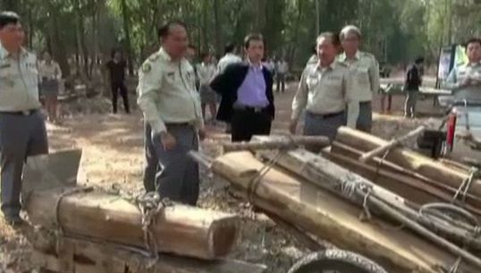 อธิบดีกรมอุทยานฯ สั่งกวาดล้างขบวนการตัดไม้พะยูง