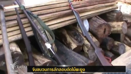 ตร.-ทหารศรีสะเกษ ยึดไม้พะยูง 264 ท่อน มูลค่า 30 ล้านบ.