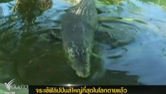 "จระเข้น้ำเค็ม" ตัวใหญ่ที่สุดในโลก ตายแล้วเมื่อวานนี้ ทางการเตรียมสต๊าฟจัดแสดง
