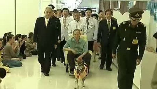 ในหลวงทอดพระเนตรทัศนียภาพริมแม่น้ำเจ้าพระยา เพื่อทรงเปลี่ยนพระราชอิริยาบถ