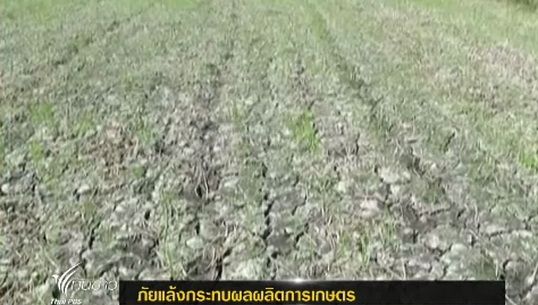 ภัยแล้งกระทบผลผลิตการเกษตร