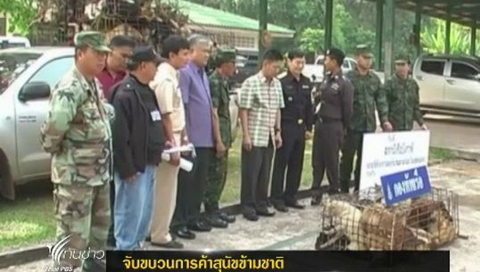 นรข.บึงกาฬจับขบวนการค้าสุนัขข้ามชาติ