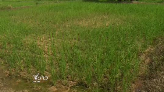 อ่างทอง ประสบภัยแล้งรุนแรง  น้ำลดลงต่อเนื่อง