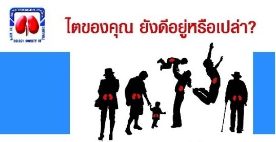 สปสช.สนับสนุนตั้ง คลินิกในรพ.เพื่อดูแลผู้ป่วย "ไตวายเรื้อรัง"