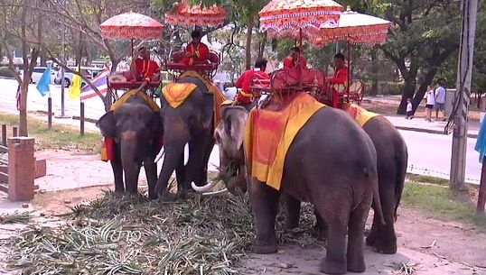 ในนามช้างไทย