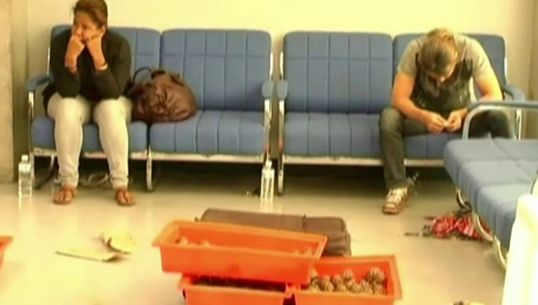 ศุลกากรจับ 2 ผู้ต้องหาลักลอบขนเต่าดาวกว่า 300 ตัว ขณะเดินทางเข้าประเทศ