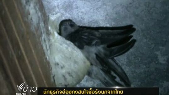 นักธุรกิจฮ่องกงสนใจซื้อรังนกจากไทย