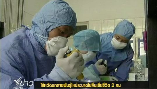 ไข้หวัดนกสายพันธุ์ใหม่ระบาดในจีน เสียชีวิต 2 คน