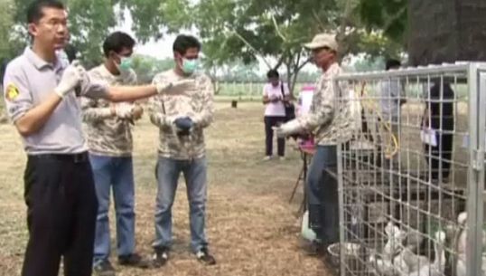 อธิบดีกรมควบคุมโรค สั่งสำรองยาต้านไวรัส เตือนอย่าตื่นตระหนกเชื้อไข้หวัดนกระบาด