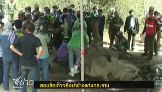 ปลัดฯ ทส.ลงพื้นที่แก่งกระจานสอบข้อเท็จจริงฆ่าช้าง