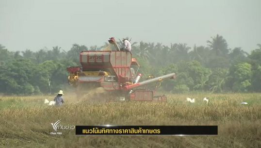 ศูนย์วิจัย ธ.ก.ส.คาดการณ์แนวโน้มทิศทางราคาสินค้าเกษตร