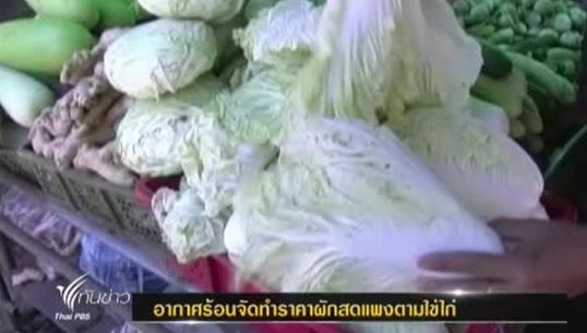 อากาศร้อนจัดทำราคาผักสดเริ่มปรับราคาขึ้น ตามไข่ไก่
