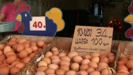 ผู้ค้าภาคกลางเตรียมปรับขึ้นราคาไข่ไก่
