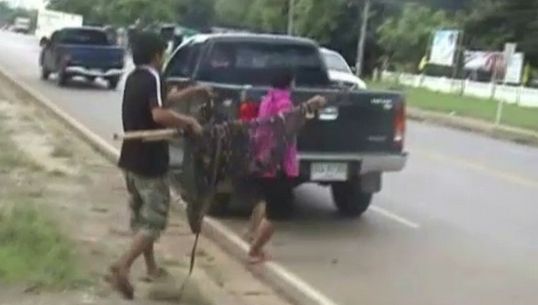 สาธารณสุข จ.ยโสธร เตือนปชช.จับค้างคาวมาบริโภค