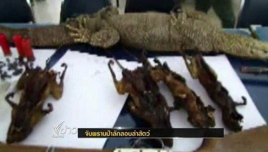 ฝ่ายปกครอง อ.เมือง จ.น่าน จับพรานป่าลักลอบล่าสัตว์