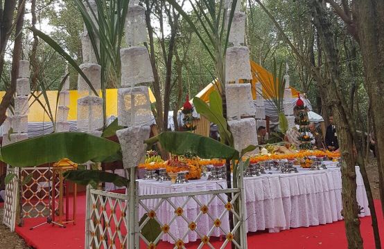 ตัดไม้จันทน์หอม 12 ต้น สร้างพระโกศพระบรมศพ