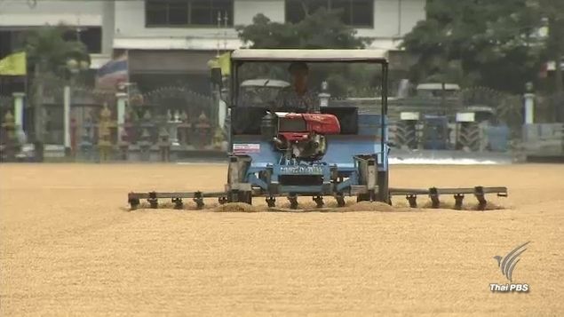  "ไพบูลย์" เผย 6,000 ชื่อเอี่ยวทุจริตจำนำข้าว 