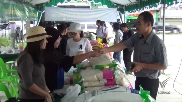 ชาวกระบี่-สุราษฎร์ รวมพลังช่วยชาวนาซื้อข้าวสาร 