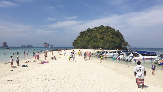 เปิดแล้ว "ทะเลแหวก"หมู่เกาะพีพี 