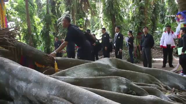 ผู้ว่าฯอุดรธานี จ่อหารือชาวบ้านฟื้นฟูป่าคำชะโนด 