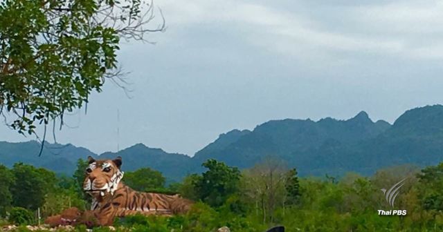 เกษตรกรลงทะเบียนจองที่ดินวัดเสือกว่า 8,000 ราย