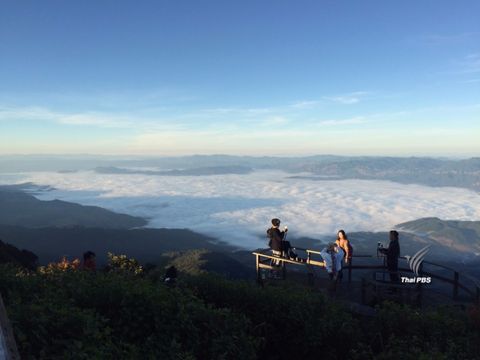 นักท่องเที่ยวทะลักอินทนนท์-ฝ่าฝืนถ่ายรูปบนราวไม้กิ่วแม่ปานเจอจับจริง