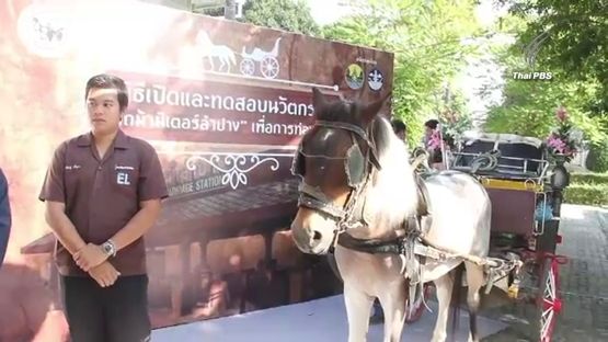 ลำปางเปิดตัว "รถม้ามิเตอร์" กระตุ้นท่องเที่ยว