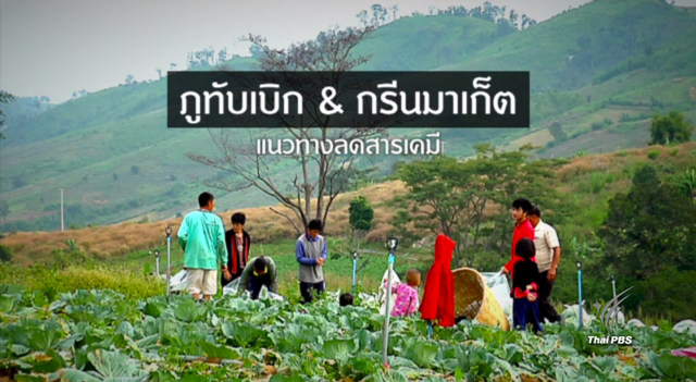 พลิกปมข่าว : "กรีนมาเก็ต" โมเดลลดใช้สารเคมีบนภูทับเบิก