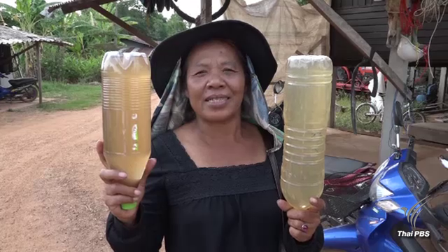 เร่งตรวจต้นตอน้ำเสียกระทบนาข้าว 1หมื่นไร่