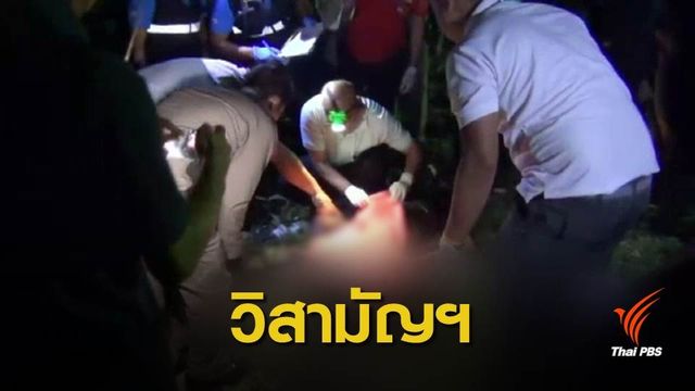 ตชด.ยิงพ่อค้ายาบ้ารายใหญ่ดับคาสวนยางกระบี่