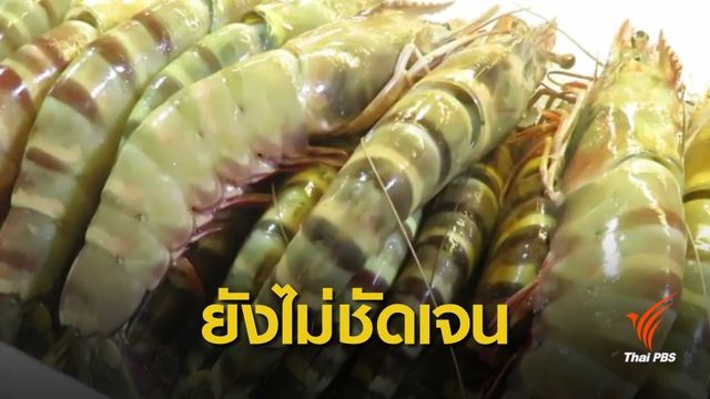 ตรวจร้านอาหารทะเลหัวหิน หลังนักเขียนโพสต์อ้างขายแพง