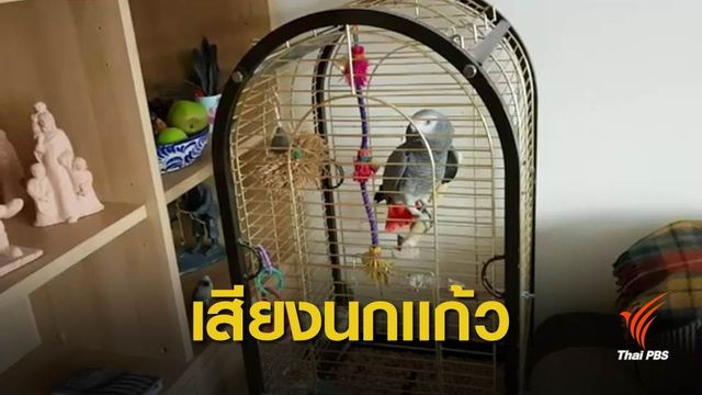 เจ้าของบ้านตกใจ! เสียงสัญญาณเตือนไฟไหม้ดัง ตรวจพบเป็นเสียงนกแก้ว