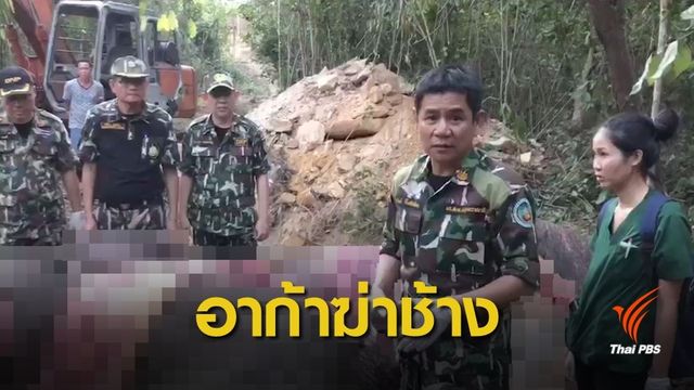  ช้างป่าตายบริเวณน้ำตกห้วยทรายใหญ่ พบกระสุนอาก้าฝังใน