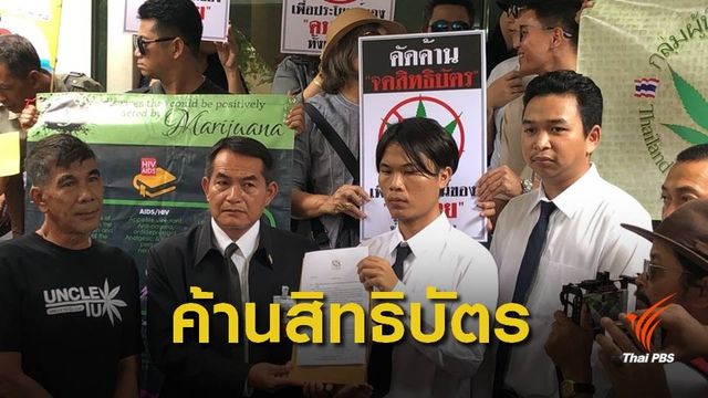 สายเขียว ร้อง 4 ข้อยกเลิกสิทธิบัตรกัญชาให้ต่างชาติ 