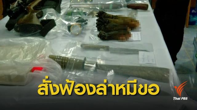 สั่งฟ้อง 17 ข้อหา "ปลัดอำเภอด่านมะขามเตี้ย" ร่วมล่าหมีขอ