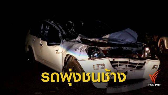 รถชนช้างป่าเขาใหญ่ คนขับเสียชีวิต