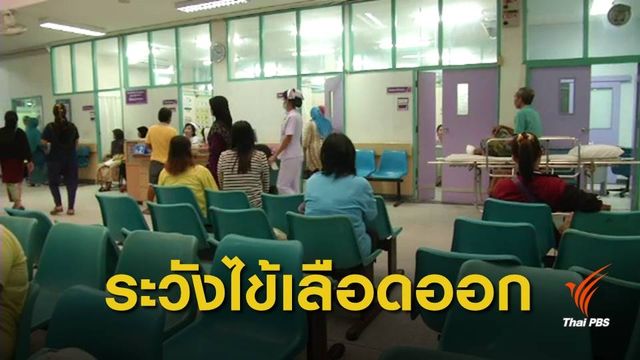 เตือน 7 จังหวัดใต้ เฝ้าระวังไข้เลือดออก เสียชีวิตแล้ว 5 คน