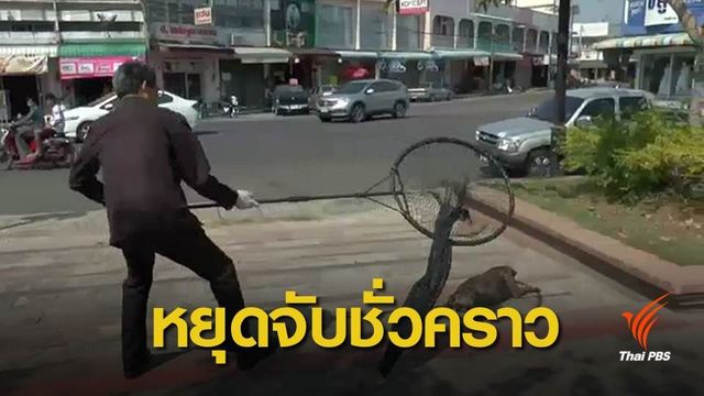 กทม.ดึงมูลนิธิเดอะวอยซ์ฯ ร่วมแก้ปัญหาสุนัขจรจัด
