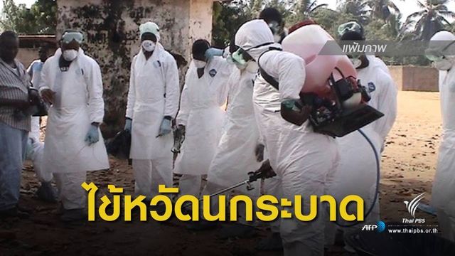 ปศุสัตว์ สั่งชะลอนำเข้าสัตว์ปีกจากรัสเซีย-โตโก-คองโก