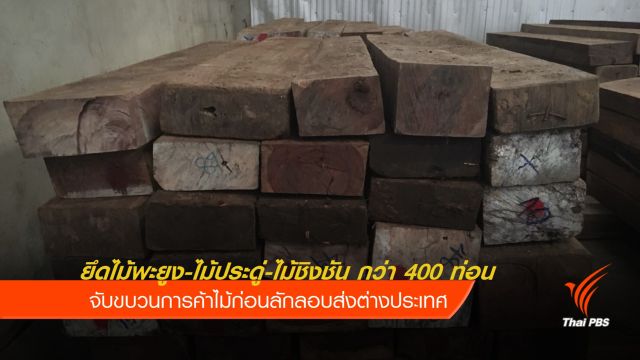 จับขบวนการค้าไม้ข้ามชาติ ยึดไม้หวงห้ามกว่า 400 ท่อน 